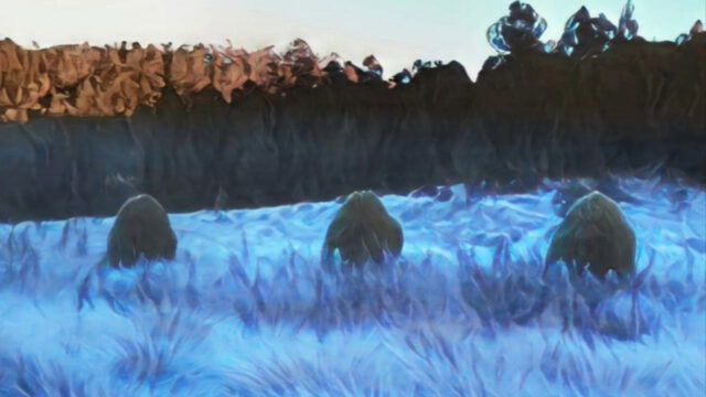 Paisajes de película en Valle Nuevo: temperaturas bajan a -1 °C por quinto día consecutivo