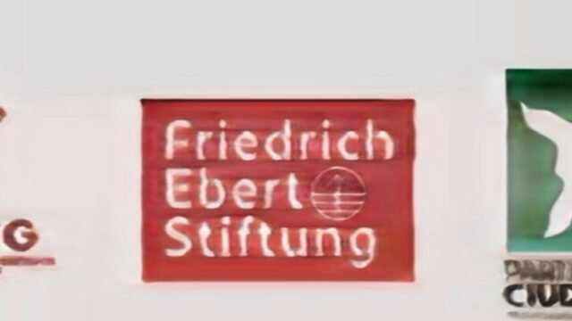 ROI advierte sesgos y pide transparencia tras ratificaciones en el TSE