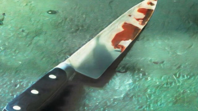 Frialdad y saña: Capturan a mujer que mató a su pareja de 48 puñaladas y simuló un robo