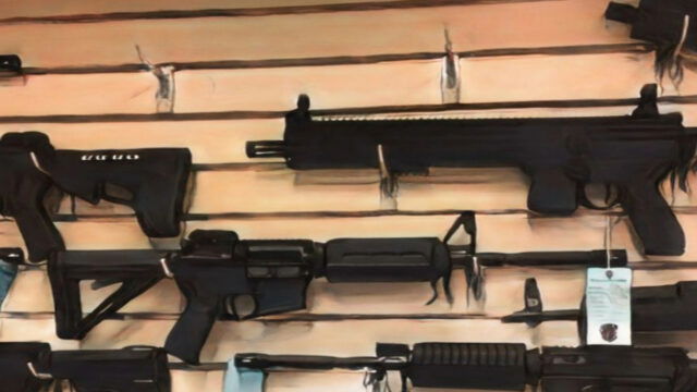 Florida aprueba reducir a 18 años la edad para comprar rifles y escopetas.