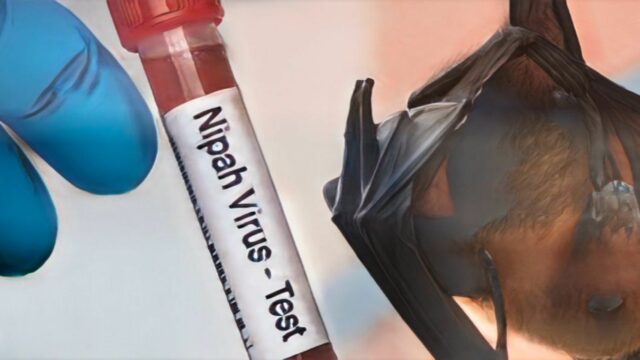 India bajo vigilancia: Sanidad confirma control sobre el brote de Nipah tras descartar contagios en 196 contactos
