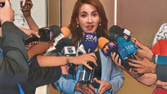 PLD contraataca: «No queremos compararnos con el PRM; su gobierno satanizó Punta Catalina y ahora vive de ella»