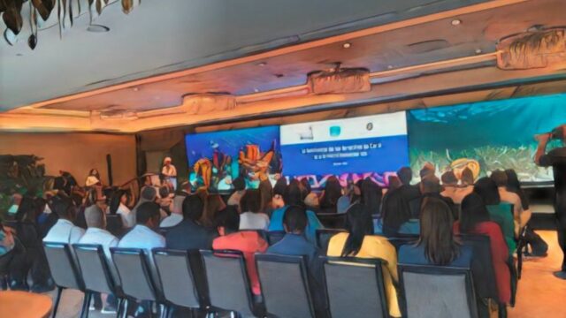 Informe revela capacidad de resiliencia en arrecifes de coral dominicanos