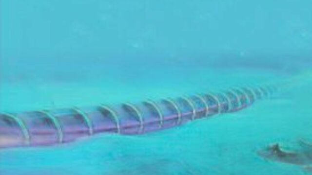 EE. UU. da luz verde al «Proyecto Hostos»: El cable submarino que unirá a RD y Puerto Rico