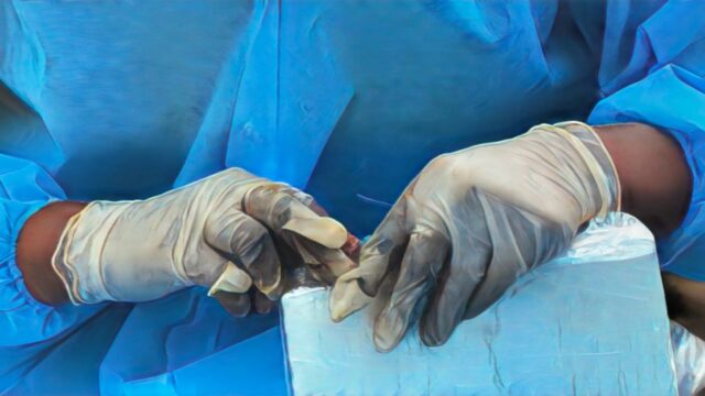 Incautan 28 toneladas de cocaína en RD y otros 9 países.