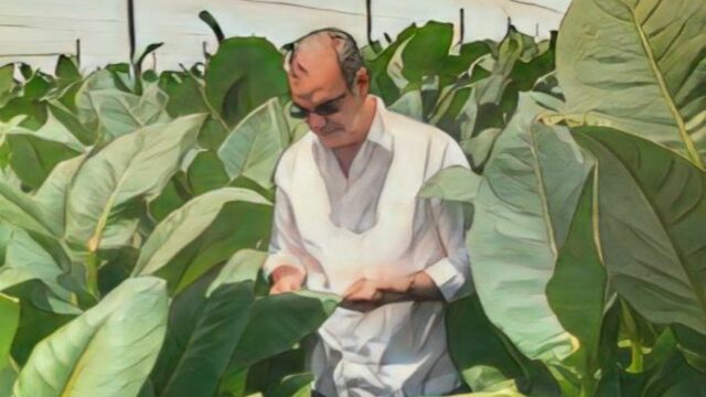 Abinader apuesta a la tecnología de «La Milagrosa» para revolucionar la producción de capa de tabaco