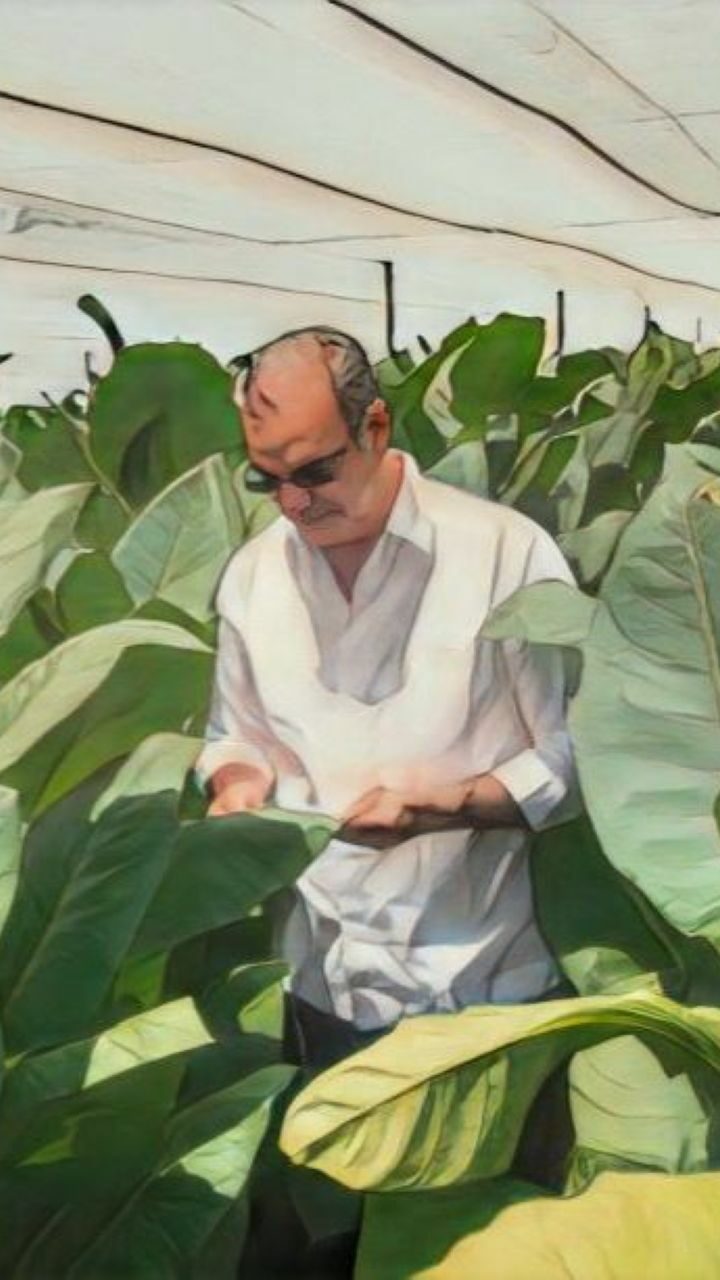 Abinader apuesta a la tecnología de «La Milagrosa» para revolucionar la producción de capa de tabaco