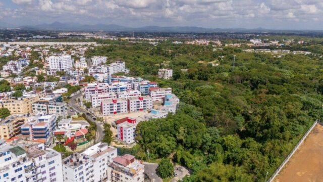 Don Honorio: El rescate de un pulmón verde de 20,000 metros en peligro