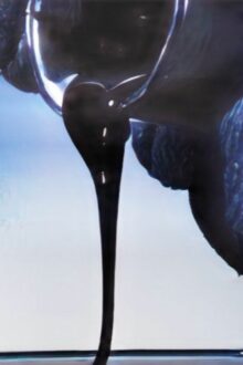 Alivio en los mercados: El petróleo Texas cae a US$ 90.32 tras señales de diálogo con Irán