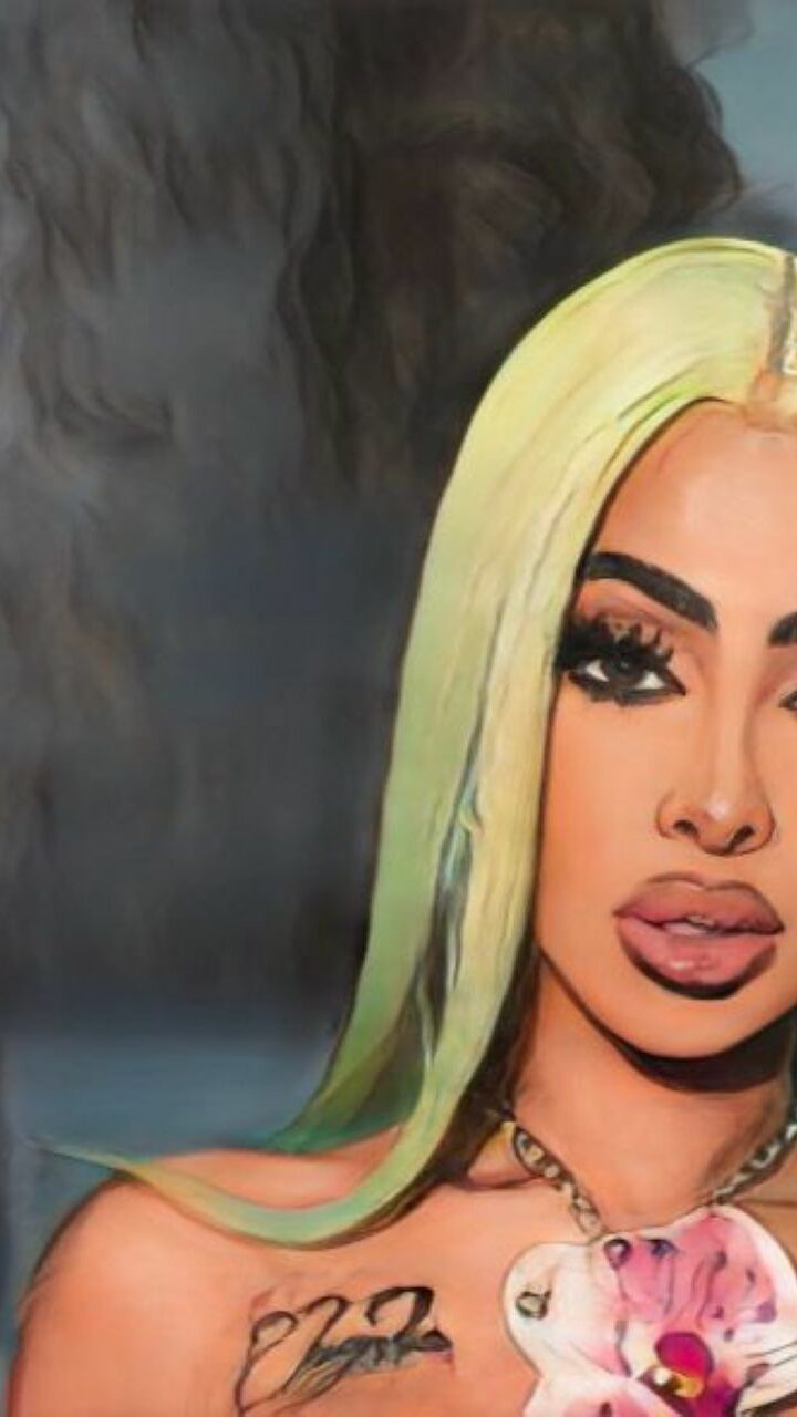 Justicia impone garantía económica de RD$500 mil a Yailin por posesión de armas ilegales