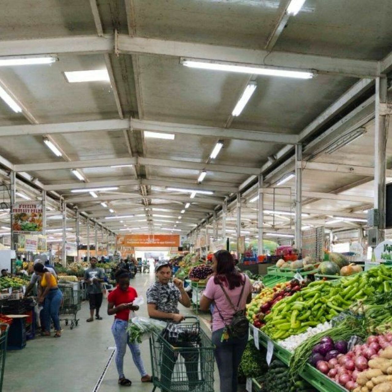Agricultura garantiza abastecimiento: «El campo produce para 33 millones de personas»
