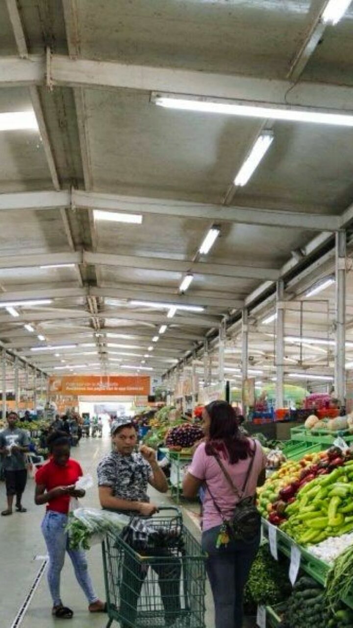 Agricultura garantiza abastecimiento: «El campo produce para 33 millones de personas»