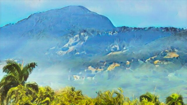 Medio Ambiente certifica ante el tribunal de Santiago que la empresa minera en la cordillera Septentrional opera sin permisos.