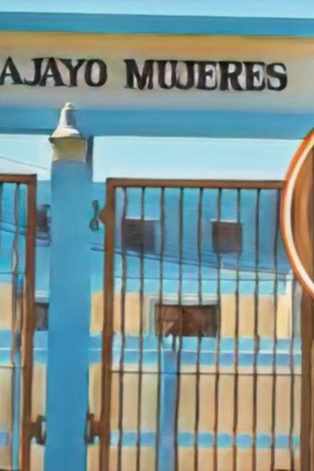 Mujeres cometen menos delitos y registran menor reincidencia que los hombres