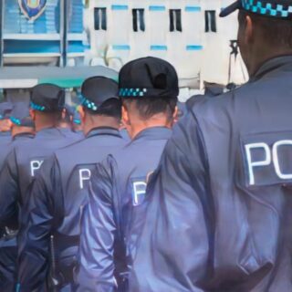 El Senado se prepara para conocer y aprobar el proyecto de ley de reforma policial