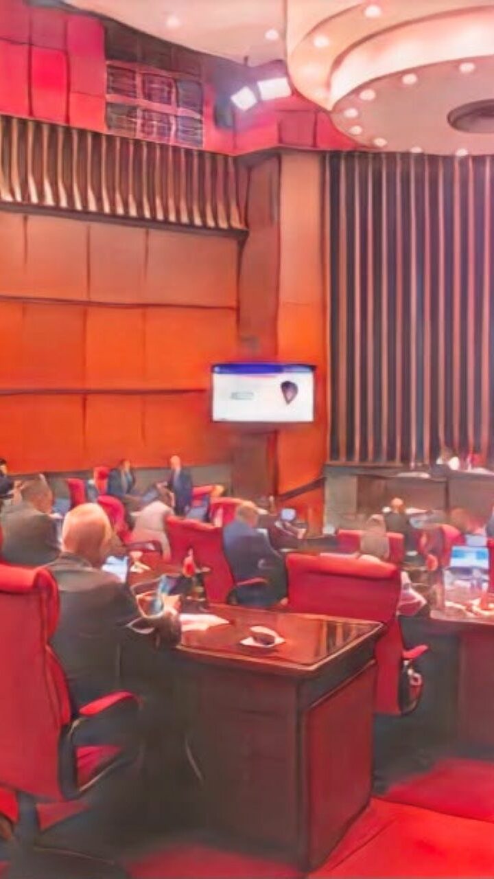 Senado aprueba en primera lectura las reformas a la Ley Orgánica de la Policía Nacional tras una sesión maratónica