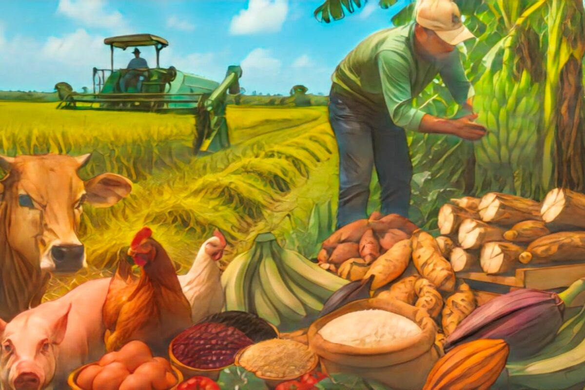 Producción agropecuaria de República Dominicana alcanzó niveles récord en 2025 Producción agropecuaria de República Dominicana alcanzó niveles récord en 2025