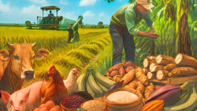 Producción agropecuaria de República Dominicana alcanzó niveles récord en 2025