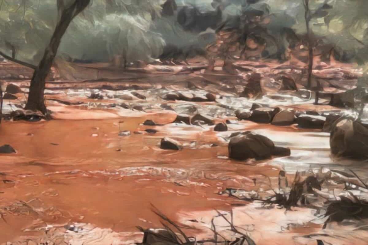 Inundación repentina en el Gran Cañón deja un muerto, desaparecidos y severos daños Inundación repentina en el Gran Cañón deja un muerto, desaparecidos y severos daños