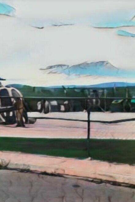Llegan a la frontera dominicana siete helicópteros militares de El Salvador antes de ingresar a Haití